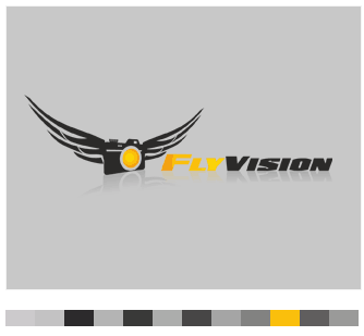 Logo di visione del volo