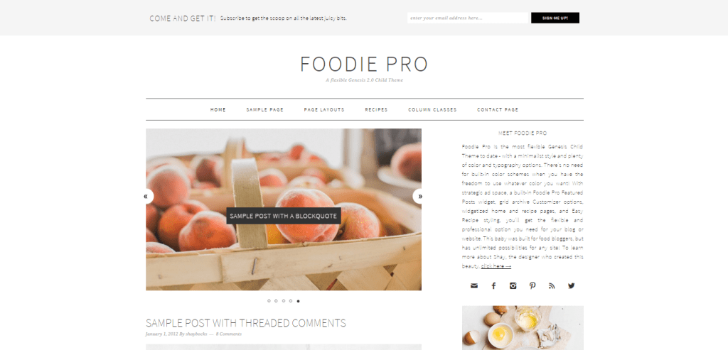 Tema del bambino di Foodie Pro Genesis