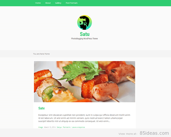 Satu WordPress-Theme