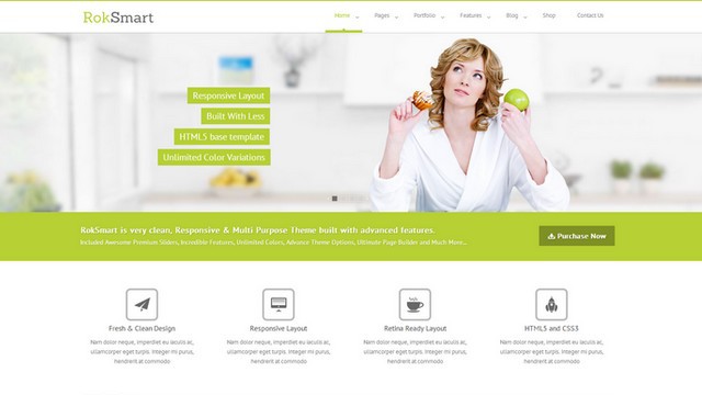 RokSmart Mehrzweck-WordPress-Theme