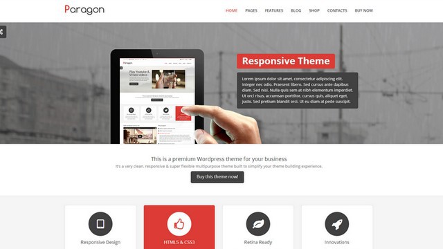 Paragon Mehrzweck-WordPress-Theme