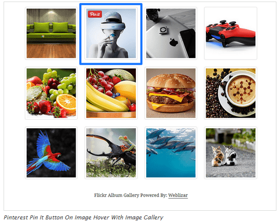 Pinterest Follow on Hover und Bild
