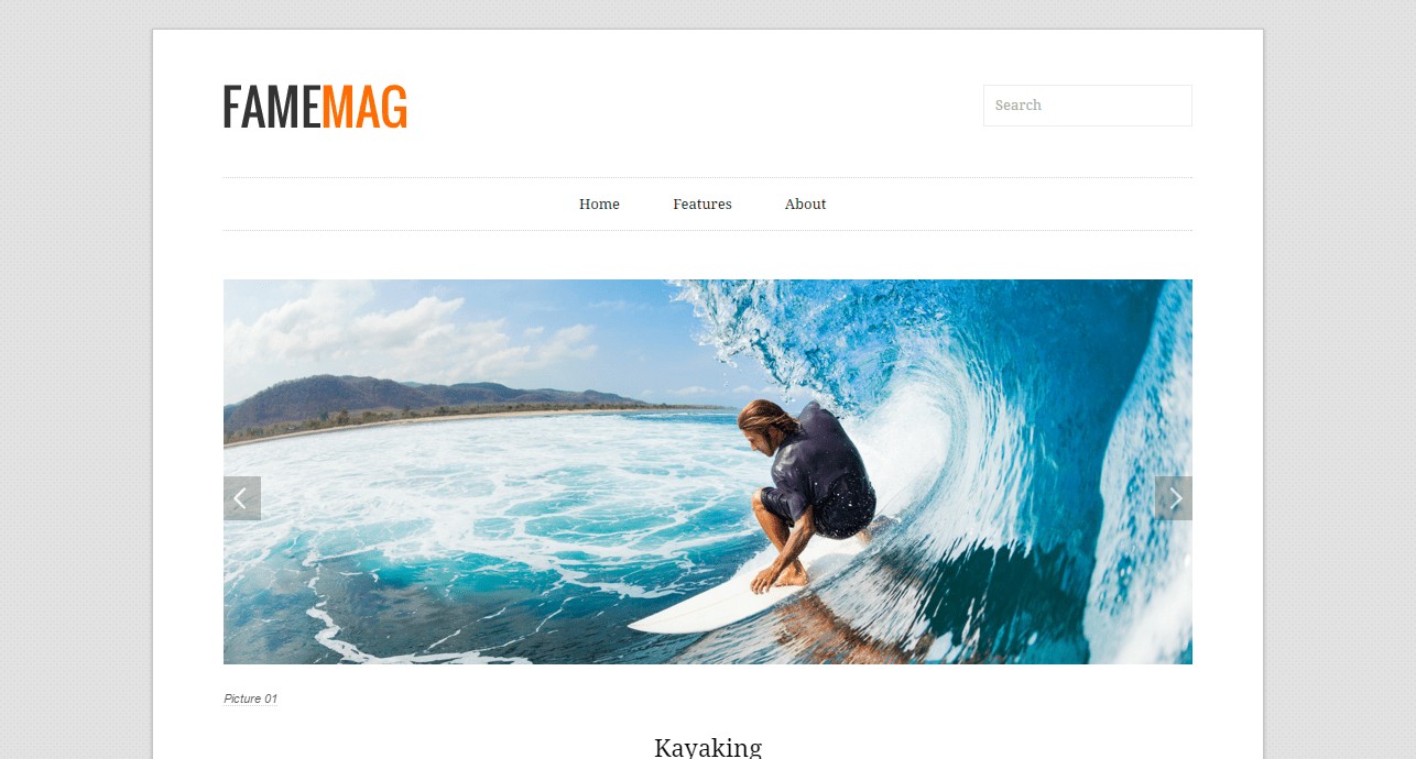 Modèle de blogueur Fame Mag