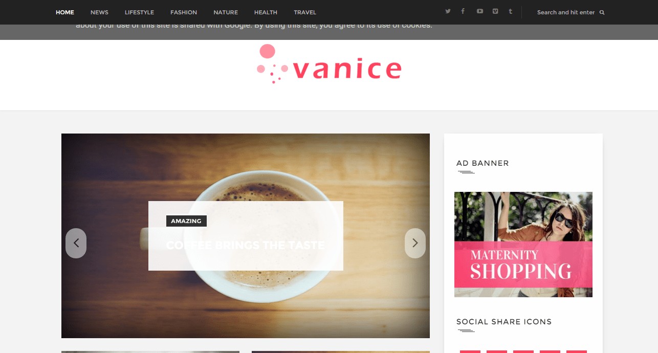 Modèle de blogueur Vanice