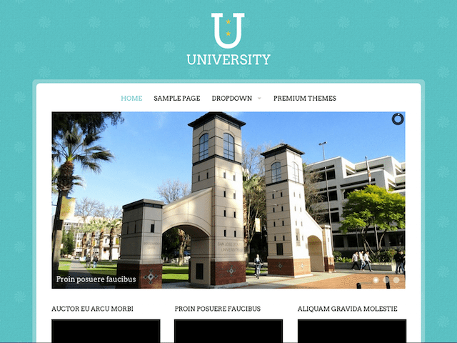 universitate