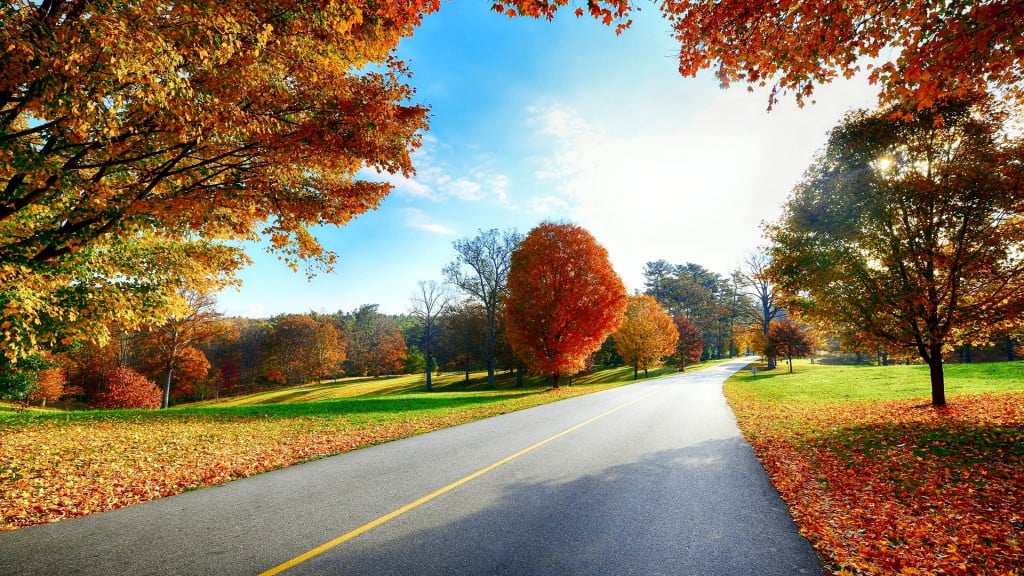 Güzel sonbahar yol manzarası duvar kağıtları