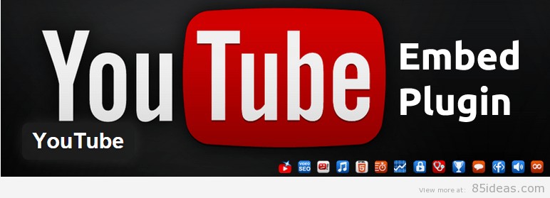 Plugin WordPress pentru YouTube