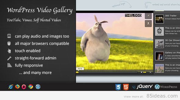 Pluginul WordPress pentru galerie video