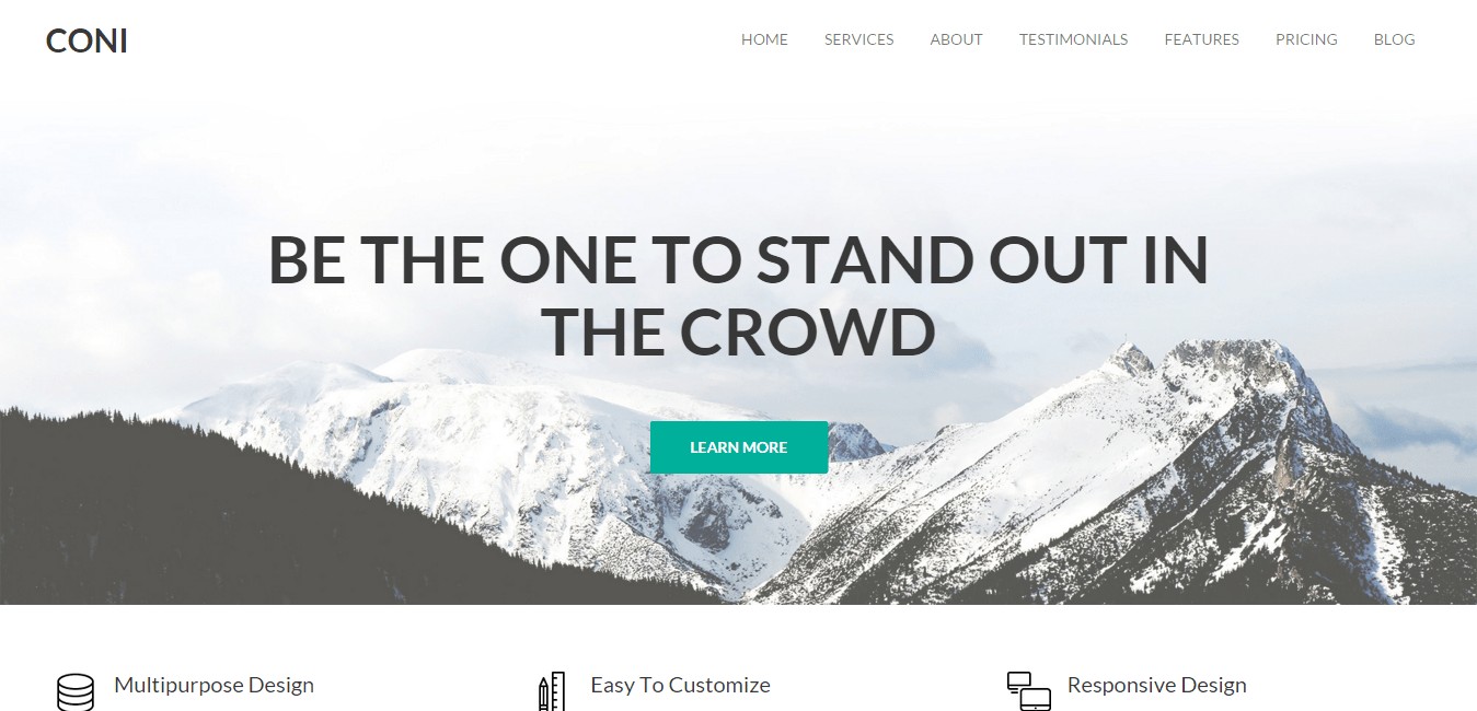 Tema WordPress Coni business