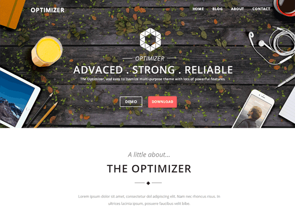Tema WordPress Optimizer