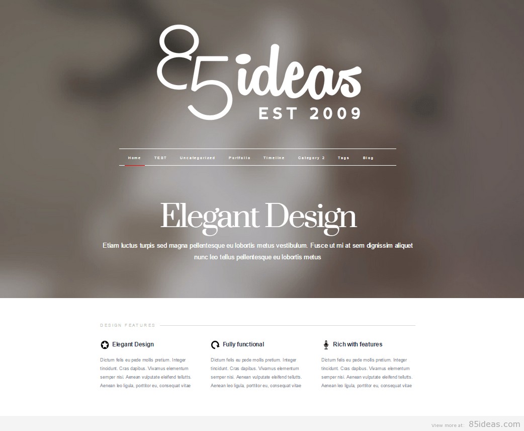 tema finală wordpress