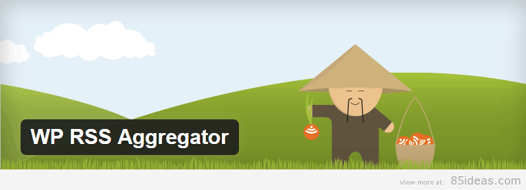 ปลั๊กอิน WP RSS Aggregator