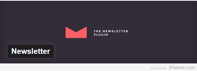 Plugin pentru newsletter