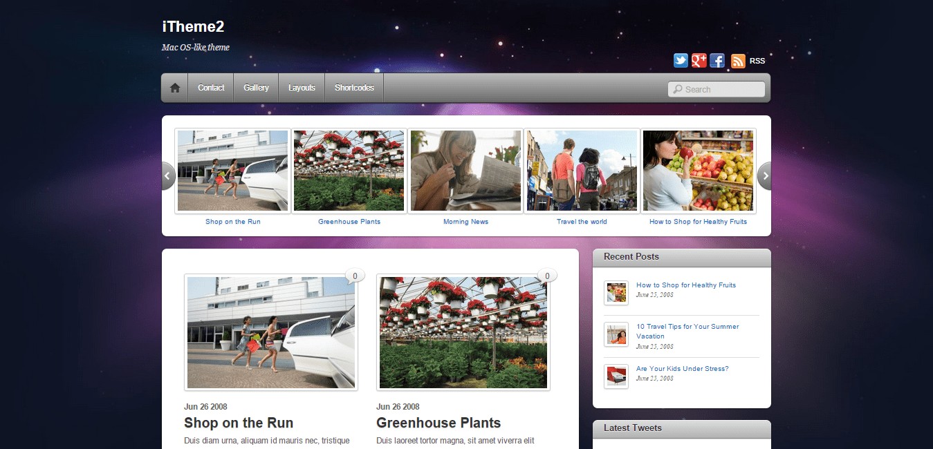 iTheme2 WP Theme