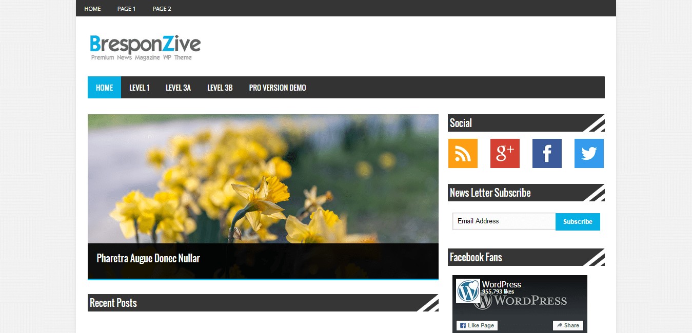 Tema WordPress BresponZive gratuito