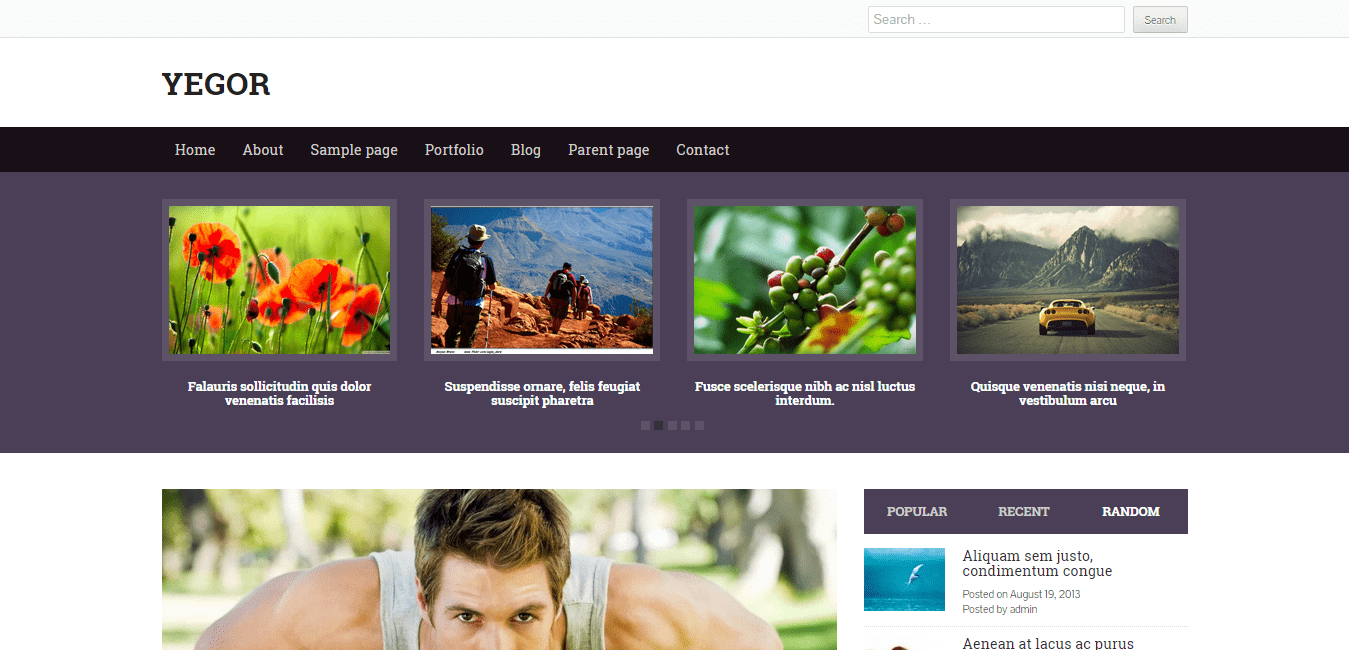 Tema WordPress di Yegor