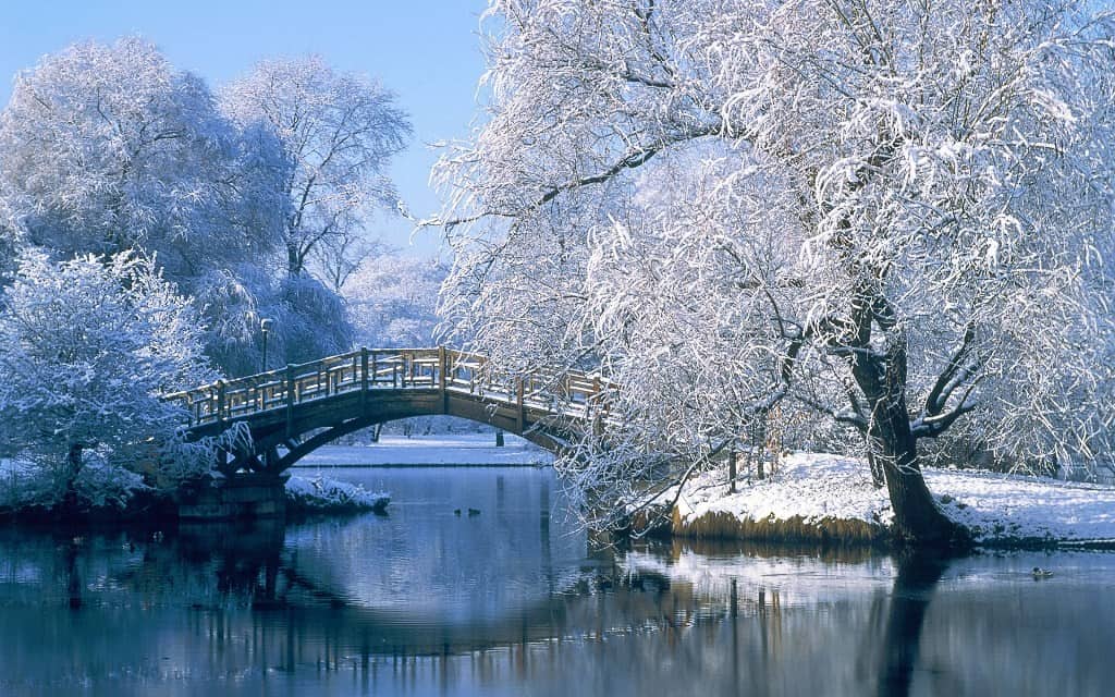 Winter- und Weihnachtstapete