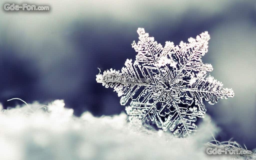 Nahaufnahme Schneeflocke