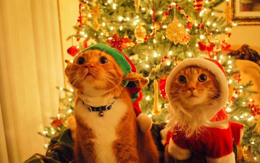 Winter- und Weihnachtstapete