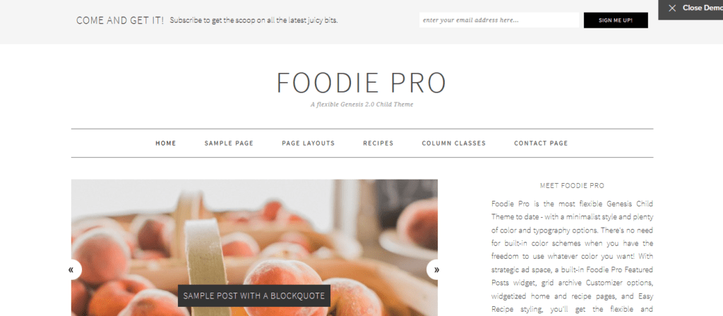 Foodie Pro