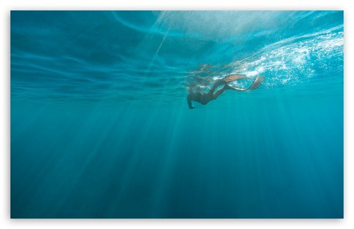 Fondo de pantalla de buzo bajo el agua