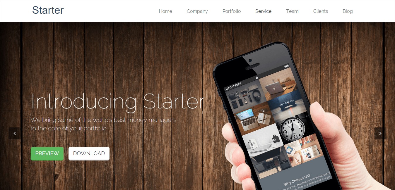 Starter Free On Page WordPress Theme