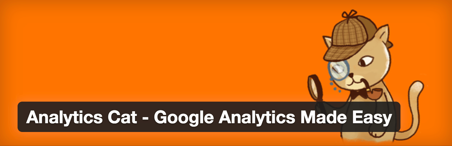 Wordpress Google Analytics cat