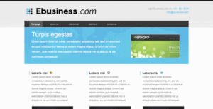 -Ebusiness-theme