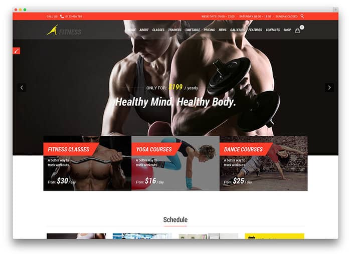 Crossfit WordPress themes