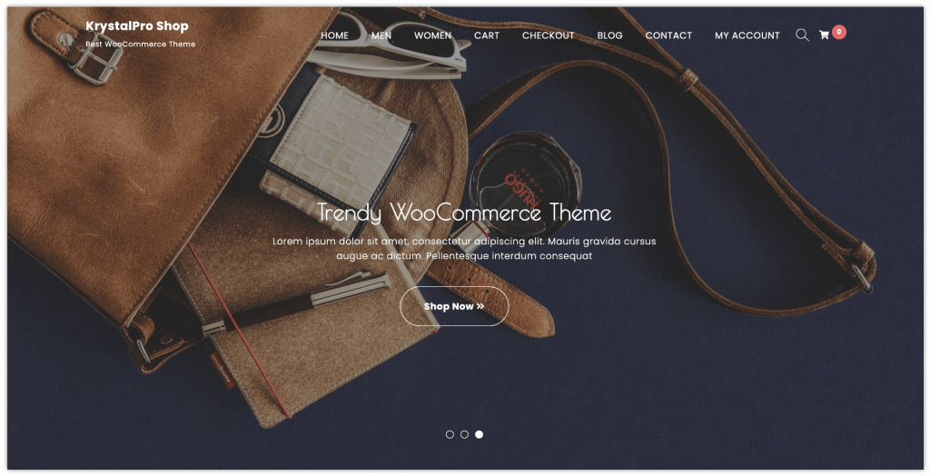 Best 5 WordPress eCommerce Themes for Your Online Store 2