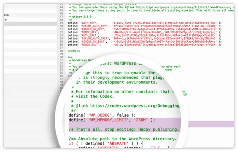 Top 8 Most Common WordPress Errors and Their Fixes 4