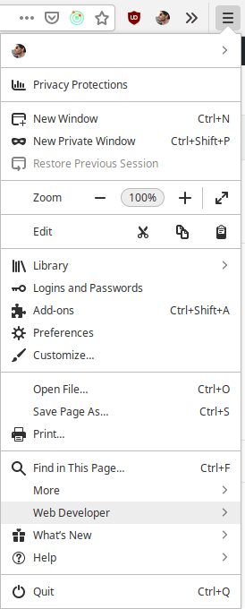 Firefox의 개발자 옵션