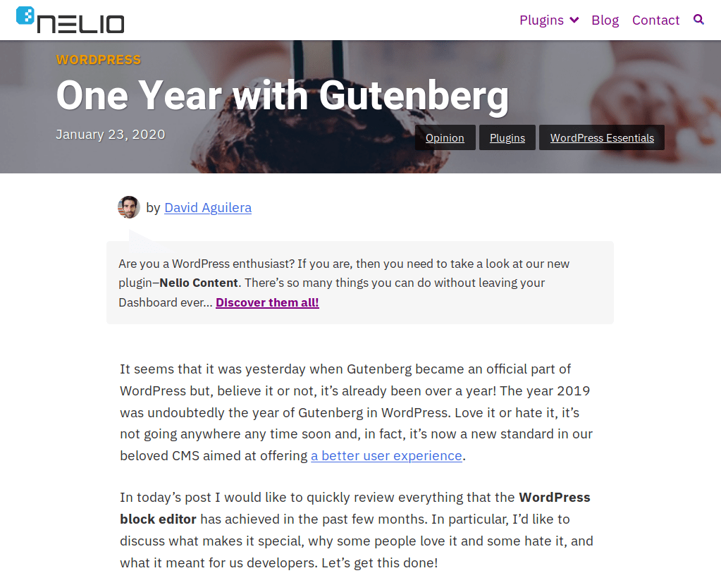 Desain brutal di Perangkat Lunak Nelio