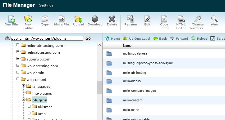 Browser de fișiere CPanel