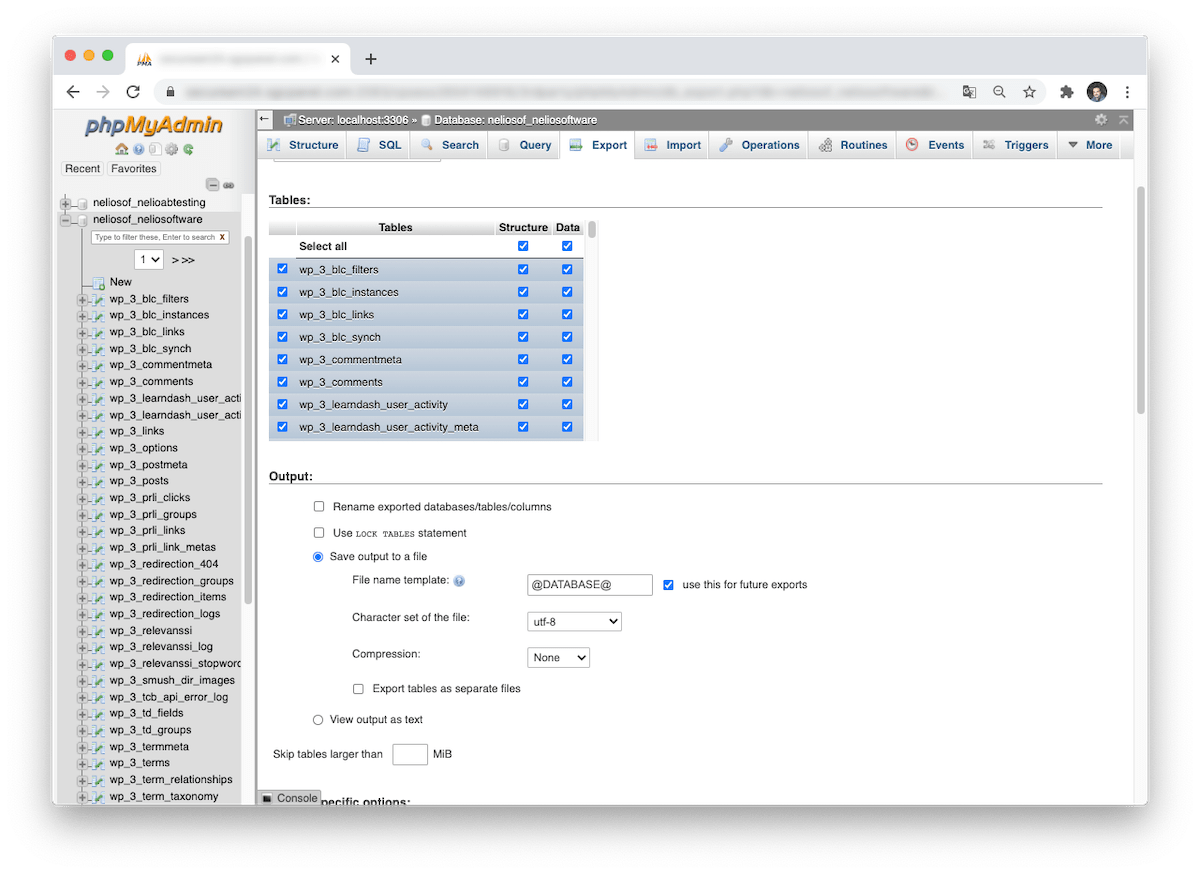 Impostazioni aggiuntive quando selezioniamo l'opzione personalizzata durante l'esportazione.