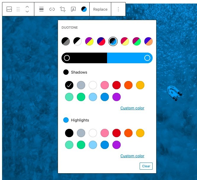 Capture d'écran de l'option de bichromie d'image dans WordPress