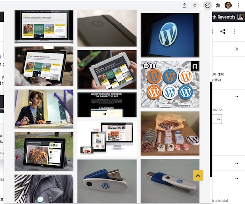 Selezione dell'immagine nell'estensione Openverse per Chrome