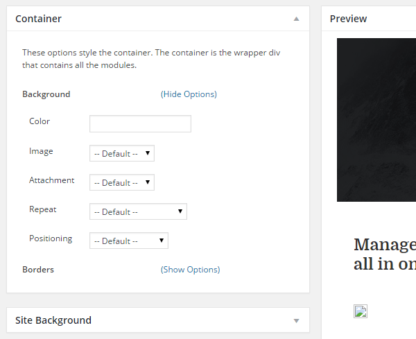 ตัวแก้ไขสไตล์การตรวจสอบ iThemes Builder