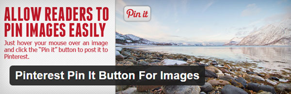 pinterest-pin-it-düğmesi