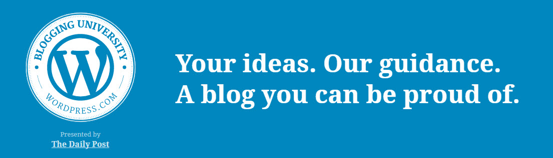 Bloggin大学