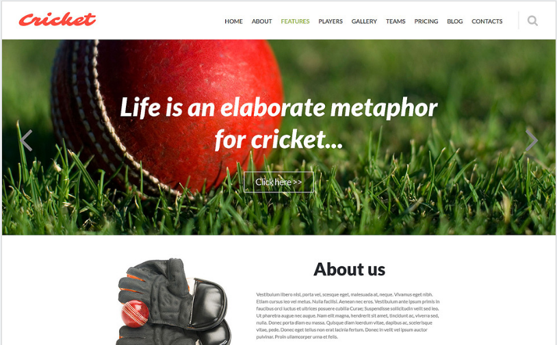 Șablon Joomla pentru clubul de cricket