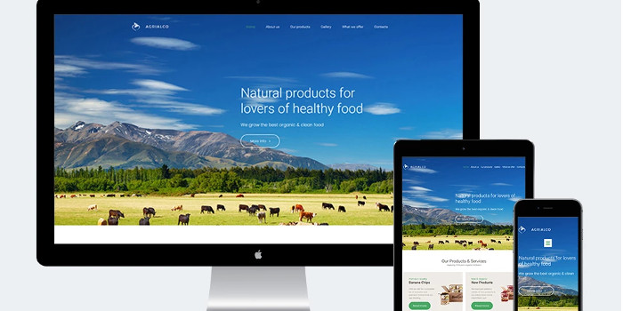 Design site web pentru alimente ecologice pentru piața de fermieri