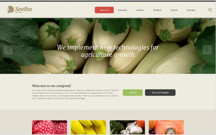 Șablon de site web Seetha