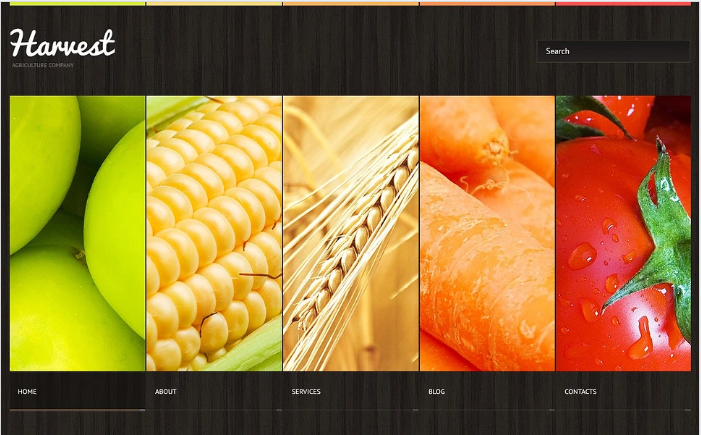 Șablon de site web adaptabil pentru agricultură