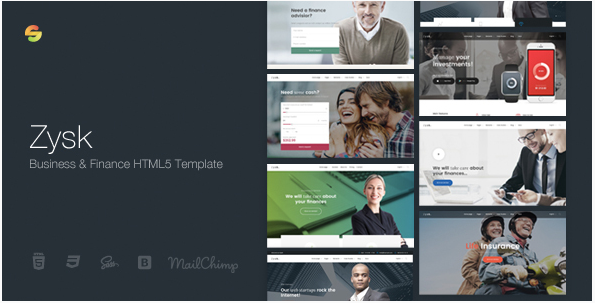 Zysk - نموذج HTML5 المستشار والتمويل