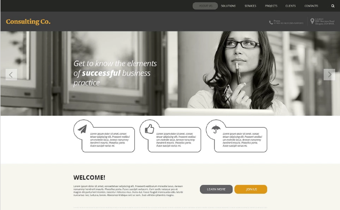 Danışmanlık A.Ş. Web Sitesi Şablonu
