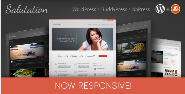 Wordpress Buddypress-Themen
