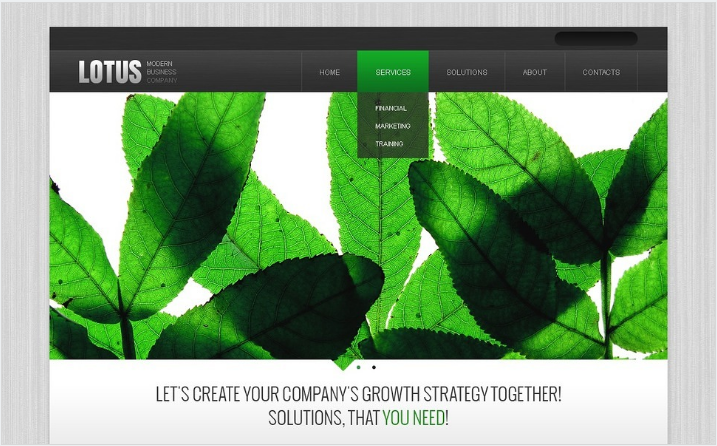 Plantilla Drupal de Negocios