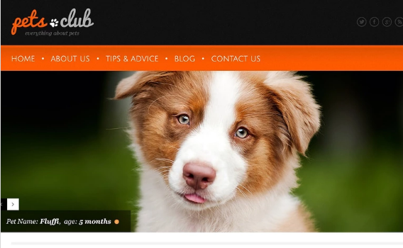 Tema blanco de WordPress para animales y mascotas