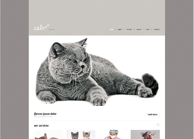 Gato Responsivo Tema de WordPress